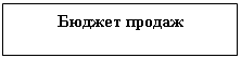 Подпись: Бюджет продаж