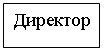 Подпись: Директор