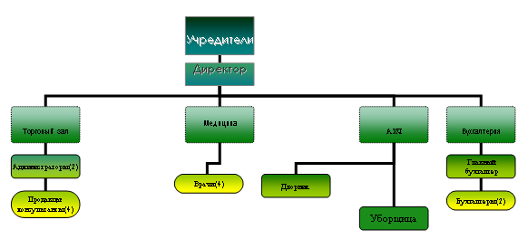 Организационная диаграмма