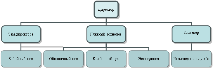 Организационная диаграмма