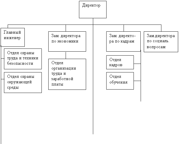 Подпись: Директор


