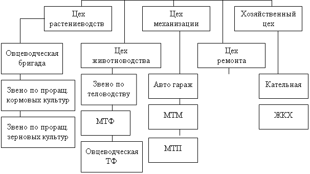 Подпись: Овцеводческая
бригада
,Подпись: Звено по проращ. кормовых культур,Подпись: Овцеводческая
ТФ
,Подпись: МТФ,Подпись: Авто гараж,Подпись: МТМ,Подпись: МТП,Подпись: Кательная ,Подпись: ЖКХ,Подпись: Звено по проращ.
зерновых культур
,Подпись: Звено по теловодству