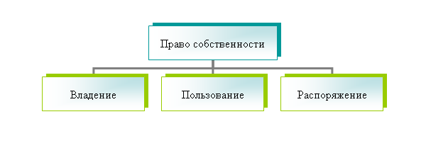 Организационная диаграмма