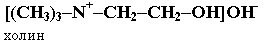 Подпись: [(CH3)3–N+–CH2–CH2–OH]OH-
холин
