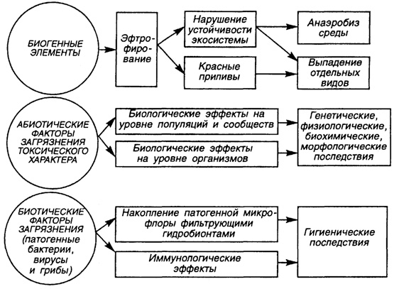 Картинка 1 из 55