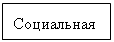 Подпись: Социальная 
