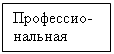 Подпись: Профессио-
нальная 
