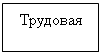 Подпись: Трудовая