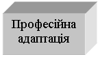 Подпись: Професійна адаптація