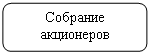 Скругленный прямоугольник: Собрание акционеров

