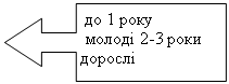 Выноска со стрелкой влево:  до 1 року
 молоді 2-3 роки
дорослі


