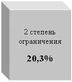 Подпись: 2 степень ограничения

20,3%
