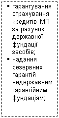 Подпись: §	гарантування страхування кредитів МП за рахунок державної фундації засобів;
§	надання резервних гарантій недержавним гарантійним фундаціям;
