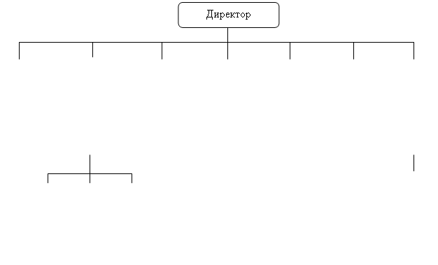 Скругленный прямоугольник: Главный бухгалтер,Скругленный прямоугольник: Заведующий производством,Скругленный прямоугольник: Модельер,Скругленный прямоугольник: Менеджер по закупкам,Скругленный прямоугольник: Администратор,Скругленный прямоугольник: Офис-менеджер,Скругленный прямоугольник: Заведующий складом,Скругленный прямоугольник: Обслуживающий персонал