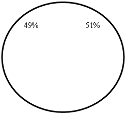 Овал: 49%                       51%