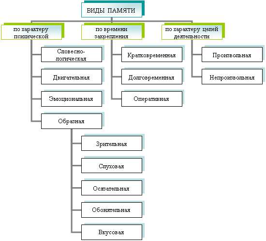 Организационная диаграмма