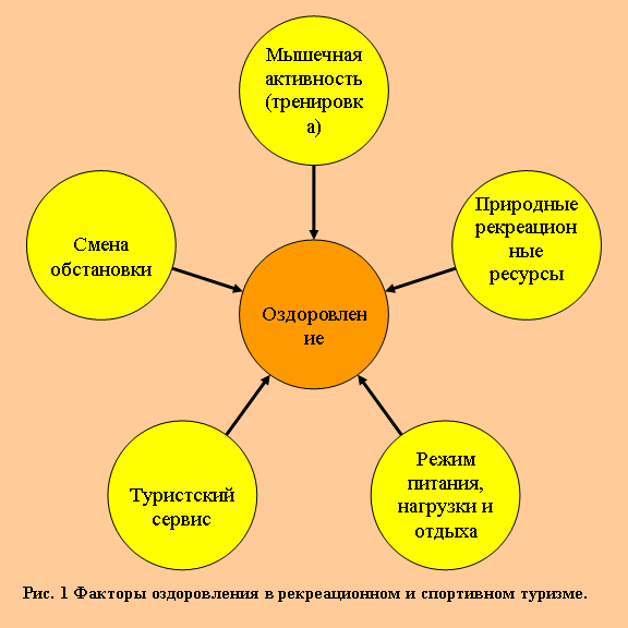 Радиальная диаграмма