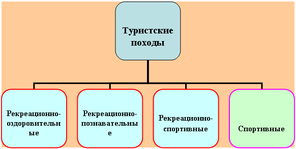 Организационная диаграмма