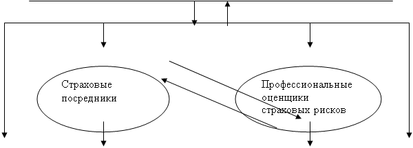 Овал: Профессиональные оценщики страховых рисков