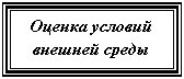 Подпись: Оценка условий внешней среды