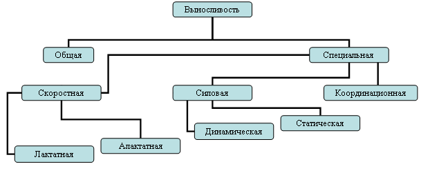 Организационная диаграмма