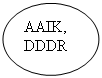 Овал: AAIK,DDDR