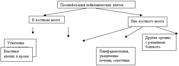 Подпись: Вне костного мозга