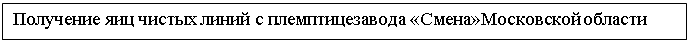 Подпись: Получение яиц чистых линий с племптицезавода «Смена»Московской области