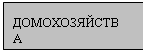 Подпись: ДОМОХОЗЯЙСТВА
