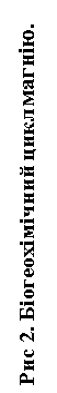 Подпись: Рис 2. Біогеохімічний цикл магнію.
