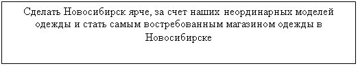 Подпись: Сделать Новосибирск ярче, за счет наших неординарных моделей одежды и стать самым востребованным магазином одежды в Новосибирске