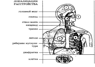 Подпись:  