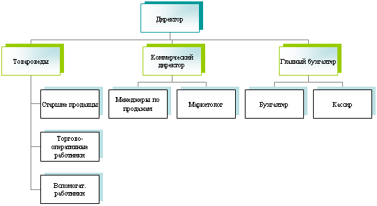 Организационная диаграмма