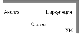 Подпись: Анализ                   Циркуляция

Синтез
                     УМ
