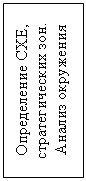 Подпись: Определение СХЕ, стратегических зон. Анализ окружения