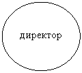 Овал: директор