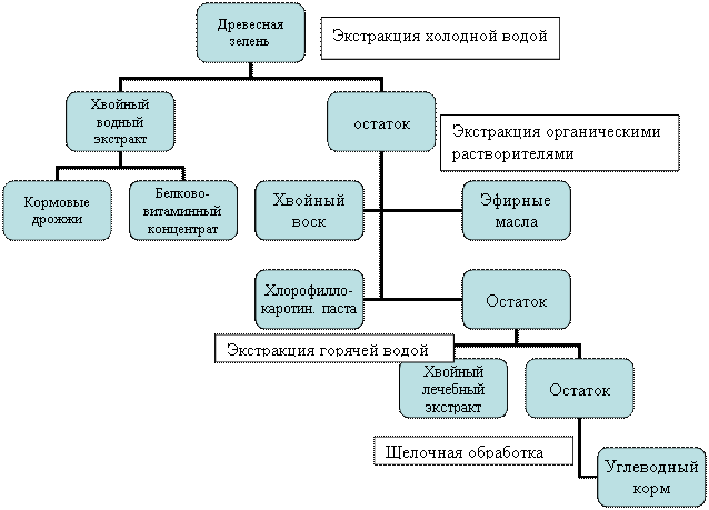 Организационная диаграмма