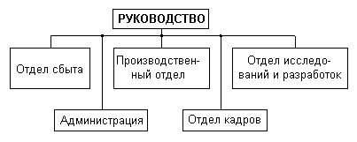 Рис 21. Функциональная организация.