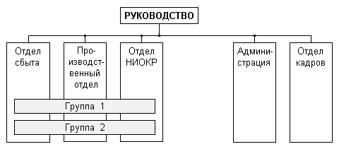 Рис 22. Функциональная организация с продуктовыми группами.