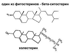 http://www.cbio.ru/images/library/sitoster.gif