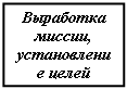 Подпись: Выработка миссии, установление целей