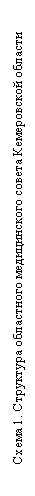 Подпись: Схема 1. Структура областного медицинского совета Кемеровской области
