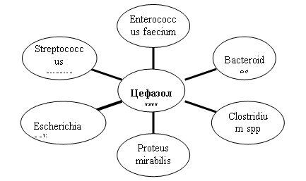 Радиальная диаграмма