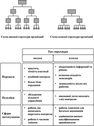 Порівняльна характеристика високої та плоскої структур організації