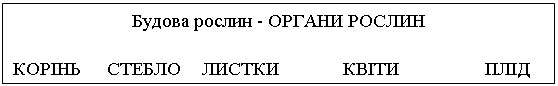 Подпись: Будова рослин - ОРГАНИ РОСЛИН

КОРІНЬ	СТЕБЛО	ЛИСТКИ		КВІТИ		ПЛІД

