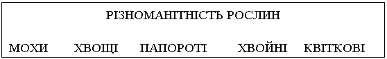 Подпись: РІЗНОМАНІТНІСТЬ РОСЛИН

МОХИ	ХВОЩІ	ПАПОРОТІ	ХВОЙНІ	КВІТКОВІ
