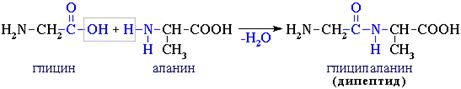 Образование дипептида