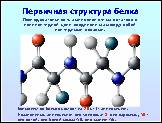 Презентация «Белки», слайд № 5