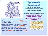 Презентация «Белки», слайд № 20