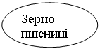 Овал: Зерно пшениці